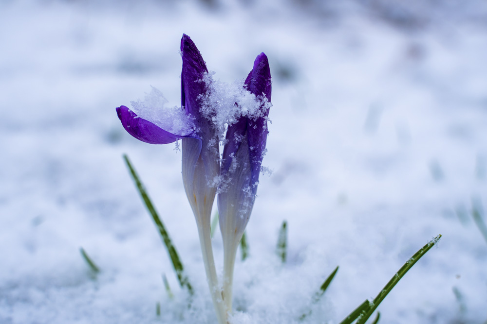 Platz 10 Kajetan Prinz